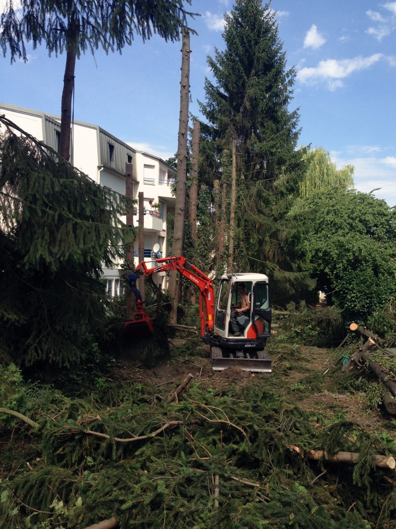Tree felling with a mini excavator