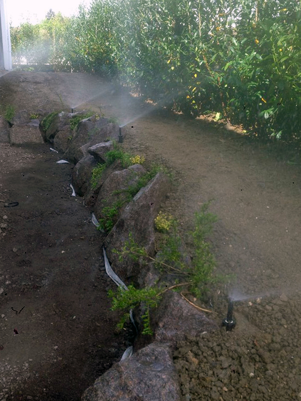 Trench for installing an underground irrigation network