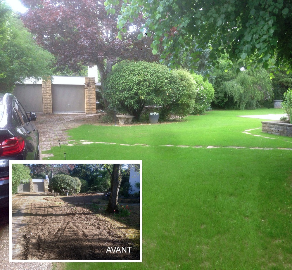 Before and after a new lawn by Marchitti Paysage